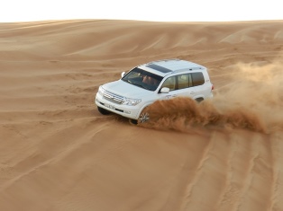 Desert Safari 6.jpg